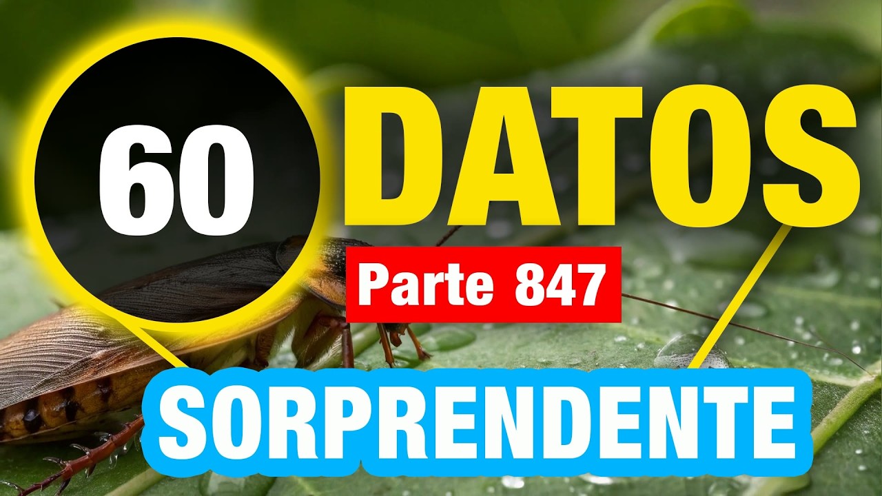 60 Datos Únicos e Incomparables Que Te Harán Más Inteligente