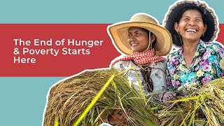 The End Of Hunger And Poverty Starts With Heifer International