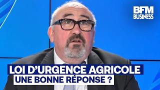 Emergency agricultural bill: "This bill is like a pig—every bit of it is good" (Emmanuel Lechypre)