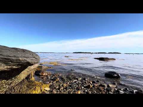 Maine Raw & Real - Ocean Waves & Rocky Beach Sounds 🌊⛵ 4K Relaxing Coastal Vibes