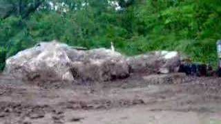 Comanche Flexing on the Rock
