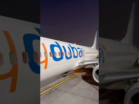       737 
