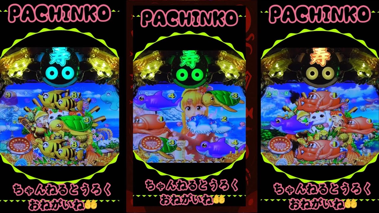 スーパー海物語INJAPAN金富士319】実機！パチンコ縦型！2025年12月31日