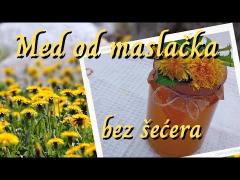 Med od maslačka bez šećera | ekuhinjica