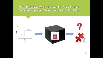 Unit 6 - Potential step techniques