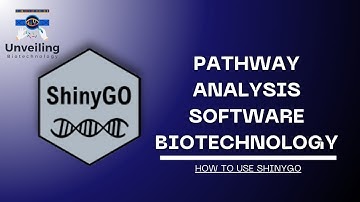 How to use Shiny Go | Pathway Enrichment analysis software biotechnology | Unveiling Biotechnology