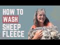 Sheep Fleece 101: A Beginner's Guide to Washing Raw Wool Fleece at Home Mp3 Song