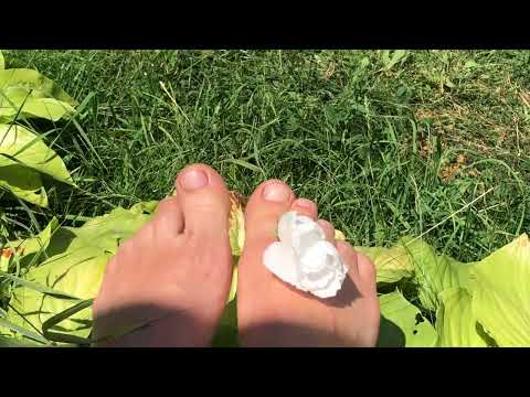 white flowers in bare foot 🌸👣🌸