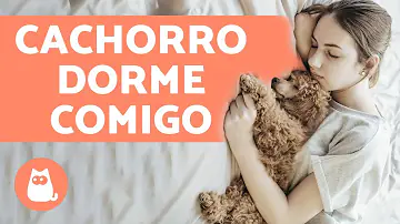 Porque meu cachorro dorme encostado no dono?