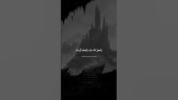 واعلموا أن فيكم رسول الله | عبد الرحمن مسعد سورة الحجرات | #quran #قرآن #قران_كريم