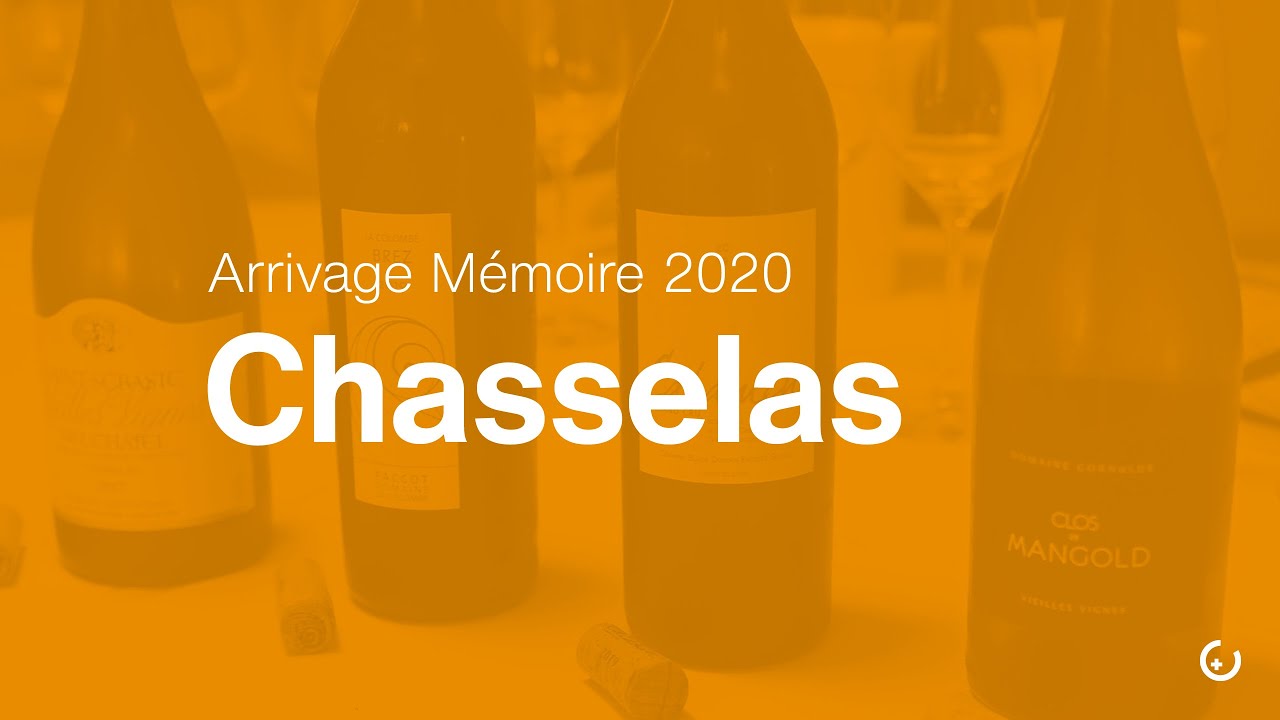 Arrivage Mémoire 2020 – Chasselas