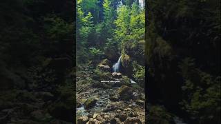 Ich kenn ein tolles Fleckchen. 🌱✨️🧚🏼‍♂️ #wandern #wasserfall #natur #wald #wanderung