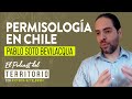 El Podcast del Territorio | Capítulo 1: Pablo Soto Bevilacqua