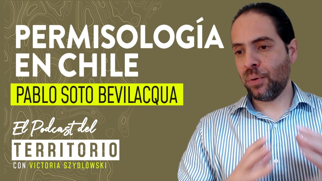 El Podcast del Territorio | Capítulo 1: Pablo Soto Bevilacqua