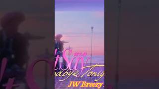 Dont Say Goodbye Tonight  Jw Breezy House Short Edit