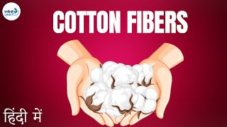 Cotton Fibres - in Hindi (हिंदी में )