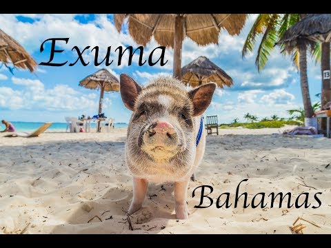 Exuma Bahamas (4K