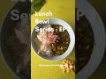 Corn Palak with Rice | Lunch Bowl Series Ep. 3 | Rice Bowl Series #shorts #food