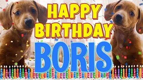 Happy Birthday Boris! ( Funny Talking Dogs ) What ...