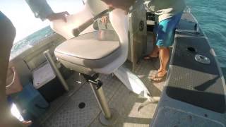 Peron Islands