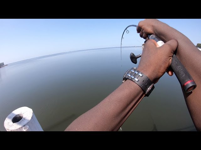 Fishing rod challenge! Can I break an Ugly Stik GX2?! 