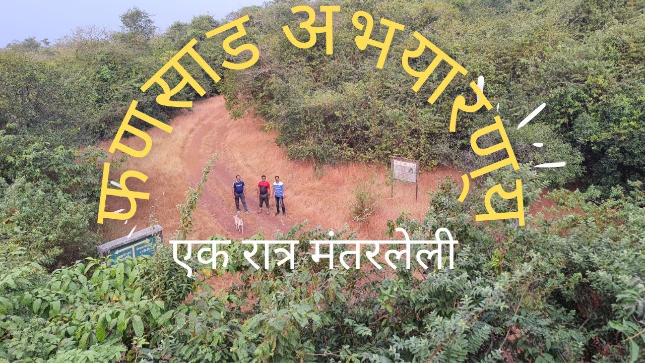 This is Why You Should Visit Phansad Wildlife Sanctuary - InsideMurud