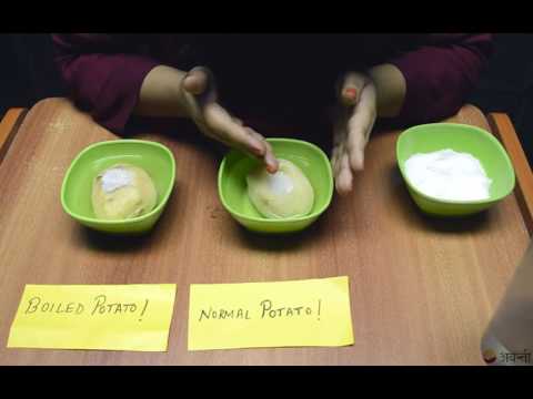Class 9 Biology | Plasma Membrane & Cell Wall | Osmosis