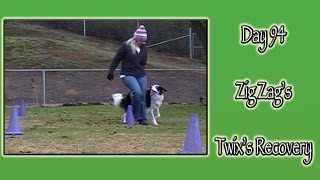 Day 94:  Zig Zag's with Cones