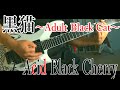 黒猫~Adult Black Cat~(Shangri-la) Acid Black Cherry cover