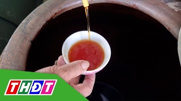 Làng nghề nước mắm Cà Ná vào vụ Tết | THDT