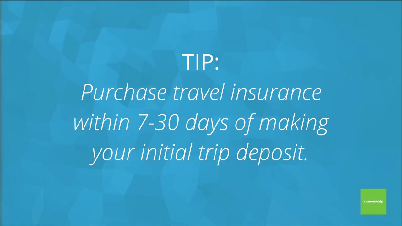 insuremytrip travel insurance uk