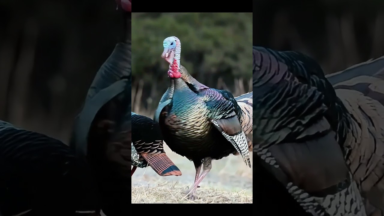 He Wouldn’t Commit… So I Changed Everything  