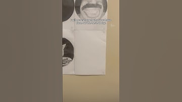 Day 91 of adding my followers to the wall of fame (Part 2)