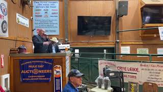 tobacco auctioneer chant World Champion Tobacco Auctioneer John Kessler (2023 MDAC Judge)