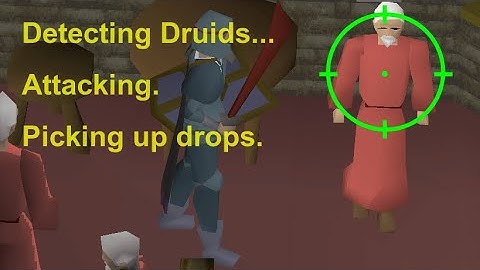 OSRS: I made a kill-bot for chaos druids