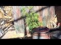 Middle of video
