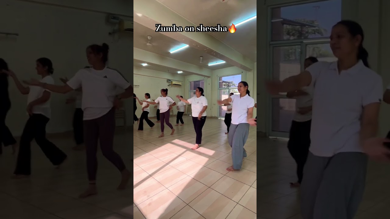 Sheesha 🪞 song on Zumba #fitnessjourney #trendingvideovibes #dance #shortvideo