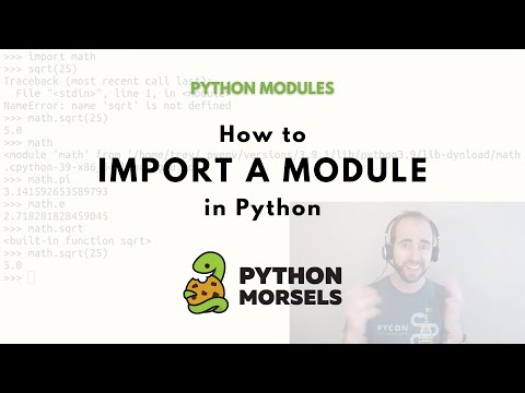 Image from Importing a module in Python