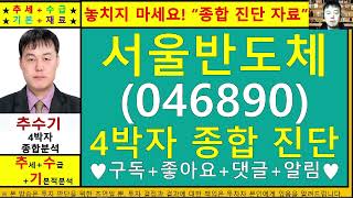 서울반도체(046890)종목진단및향후주가전망 추수기(추수)전문가