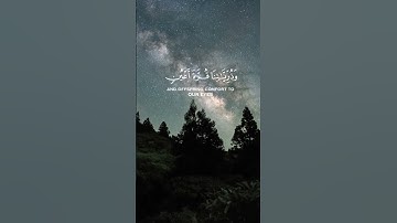 #القرآن_الكريم #اكسبلور #تلاوة_خاشعة #راحة_نفسية #قران_كريم #حالات_واتس #تلاوات #قرآن #محمد_اللحيدان