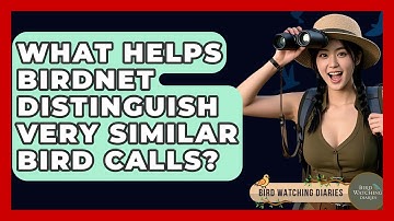 What Helps BirdNET Distinguish Very Similar Bird Calls? - Bird Watching Diaries