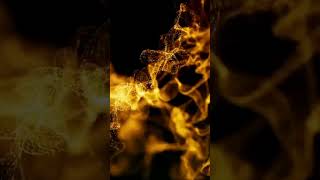 Lost in the mesmerizing dance of #cracklingflames  under the stars—a symphony of warmth