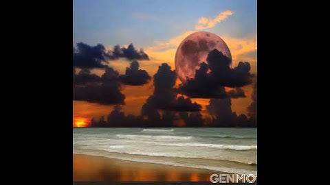 sunrise at the sea ai video generator animation ai video editing Artificial intelligence  ai art