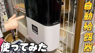 【自動給餌器①】犬猫用の自動エサやり器はうさぎケージに使えるの？ひまわりのケージに取り付けてみた