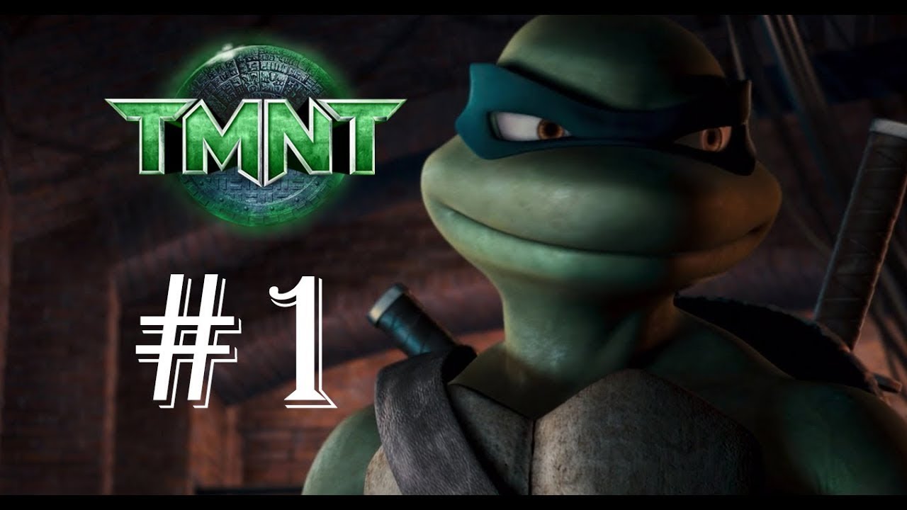 Tmnt 2007 the video game.