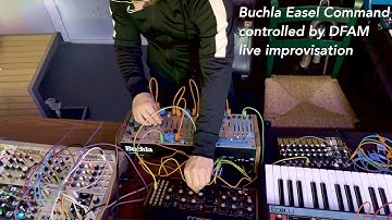 Buchla 208c Easel Command controlled by Moog DFAM experimental electronic avant-garde music