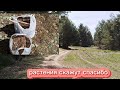 В лес за здоровьем и не только// Растения на огороде скажут СПАСИБО//