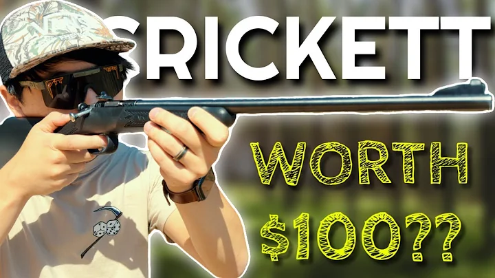 Keystone Crickett Rifle 22LR Review: Best Gift Of 2024?