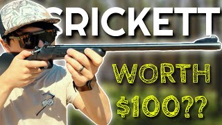 Keystone Crickett Rifle 22LR Review: Best Gift Of 2024?