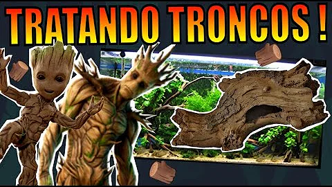 Quais os tipos de troncos que podem ser usados em aquário?